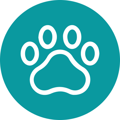 pawsonality.co.uk